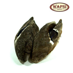 [Wapsi] Mallard Duck Wings Natural
